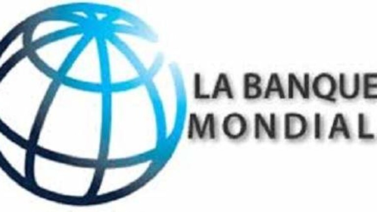 Banque Mondiale - Institution financiÃ¨re