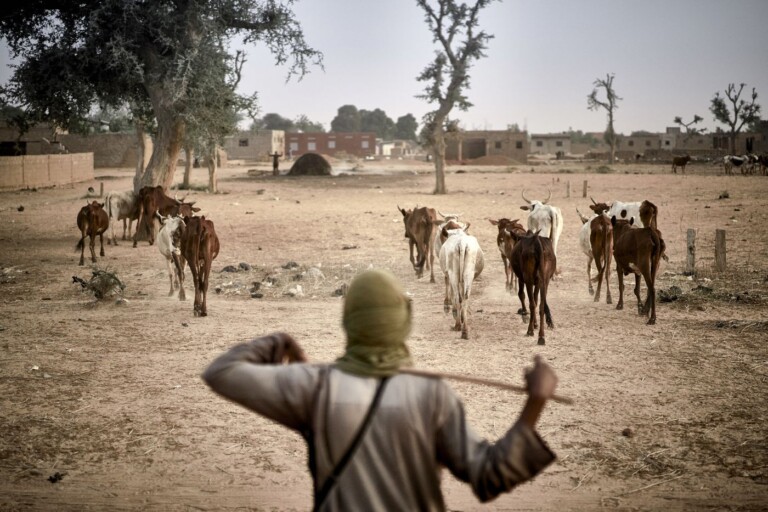 Mali- Mopti