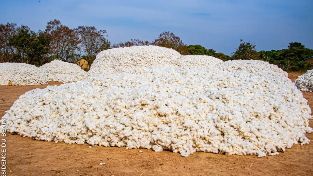 Coton du BÃ©nin